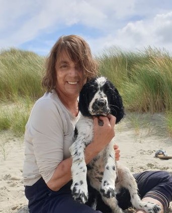 Springer Spaniel