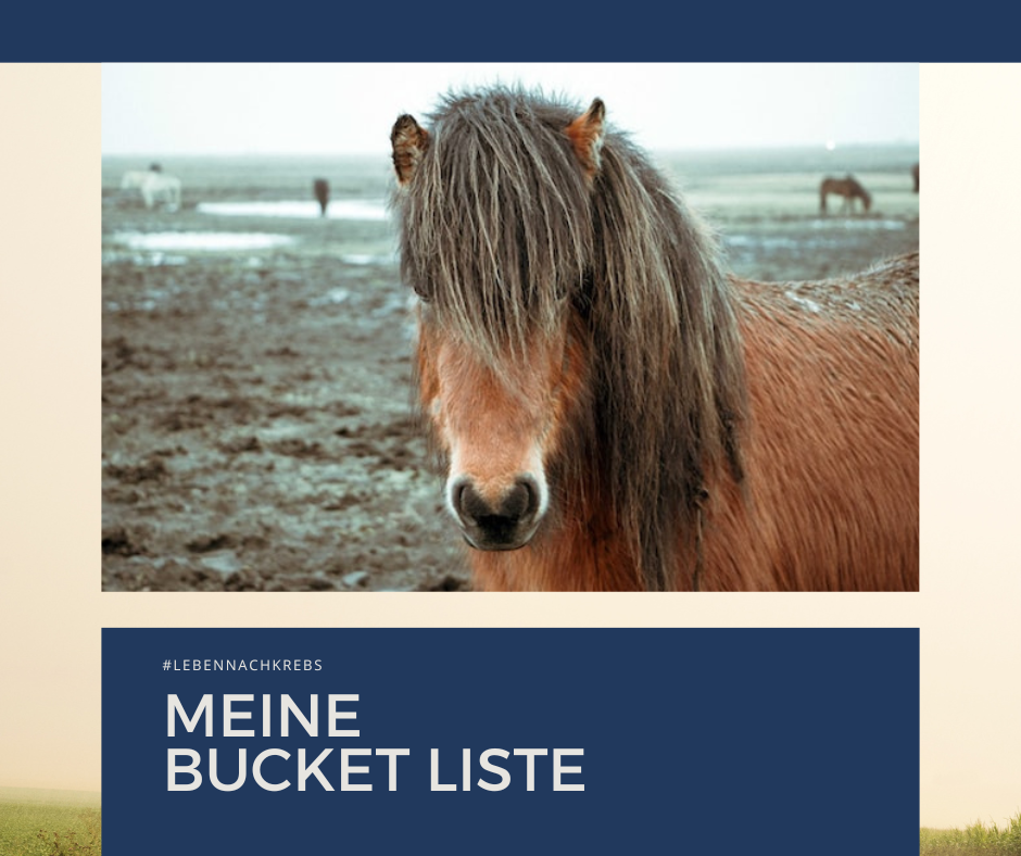 Bucket Liste