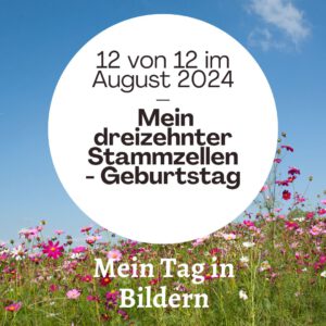 12 von 12 im August