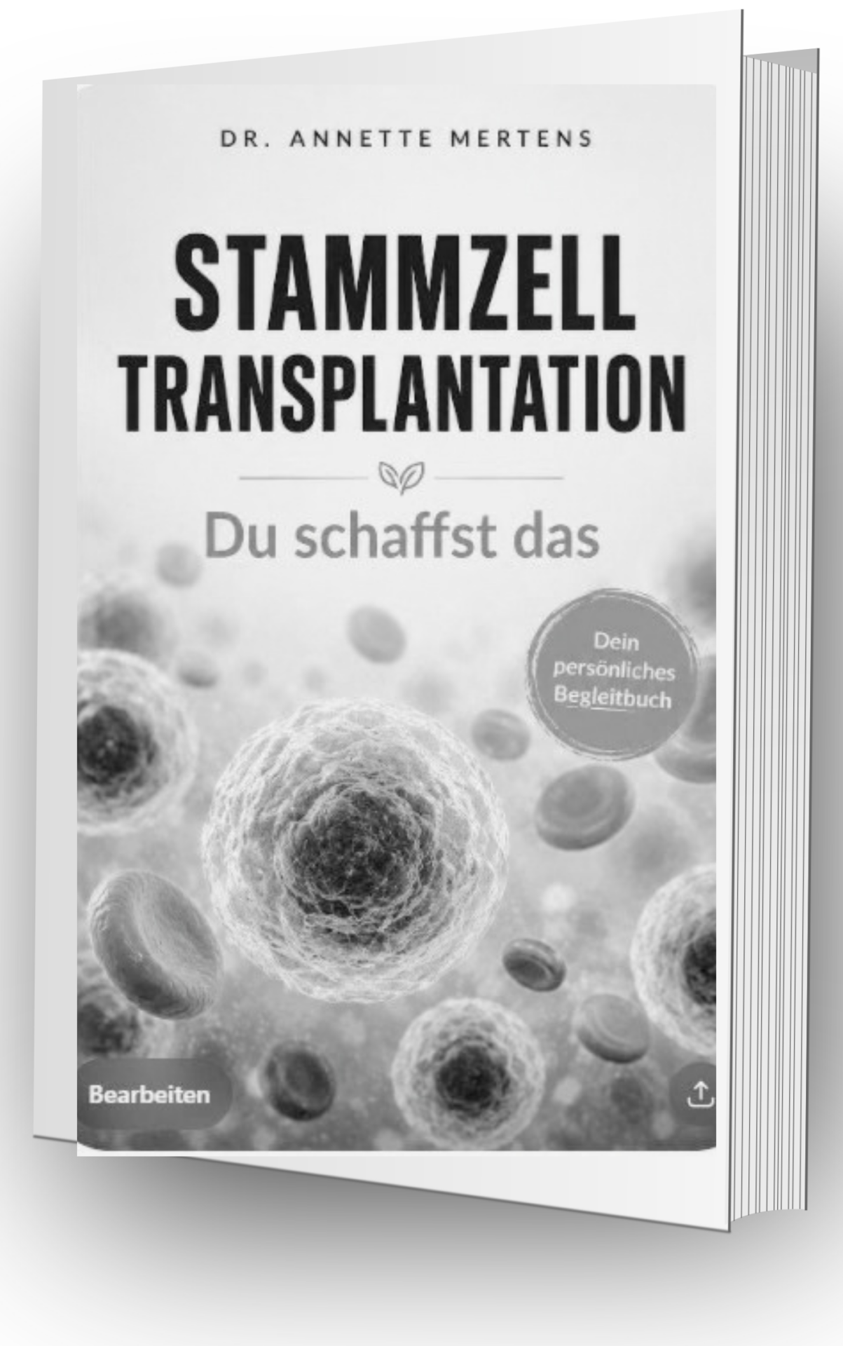 Ratgeber zur Stammzelltransplantaiton
