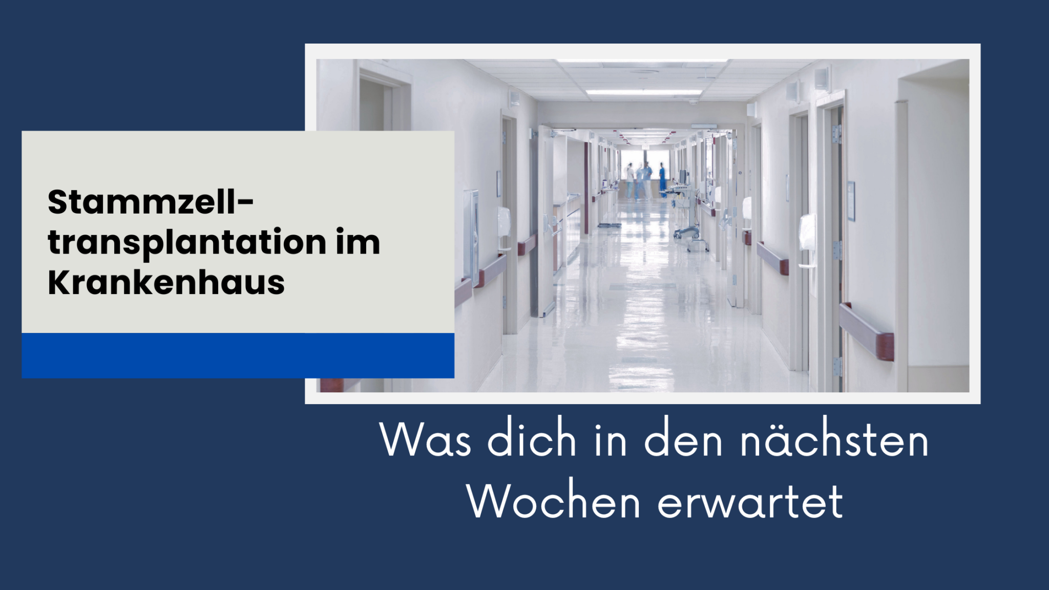 Stammzelltransplantation Krankenhaus